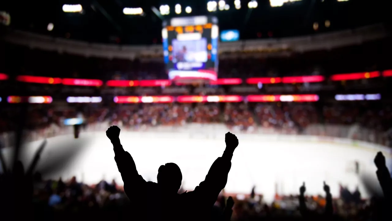 Fans celebrating at a hockey game/winter game.