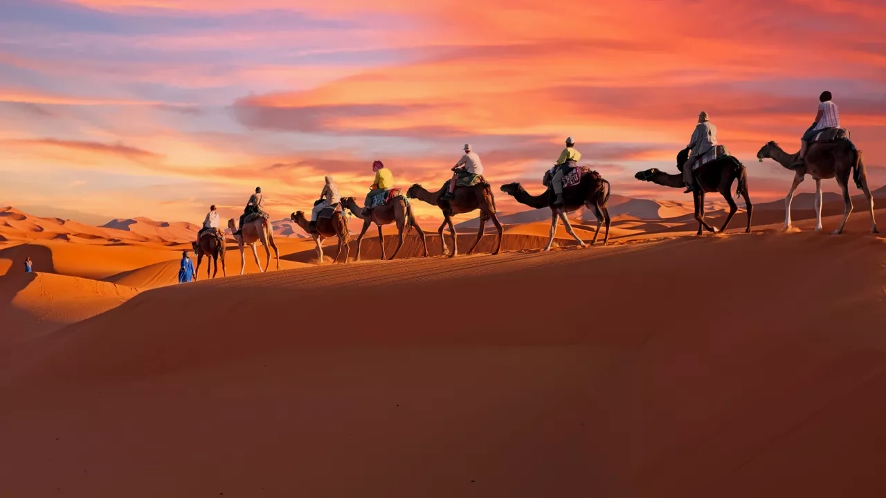 Camel riding at sunset in the Agafay Desert, Morocco