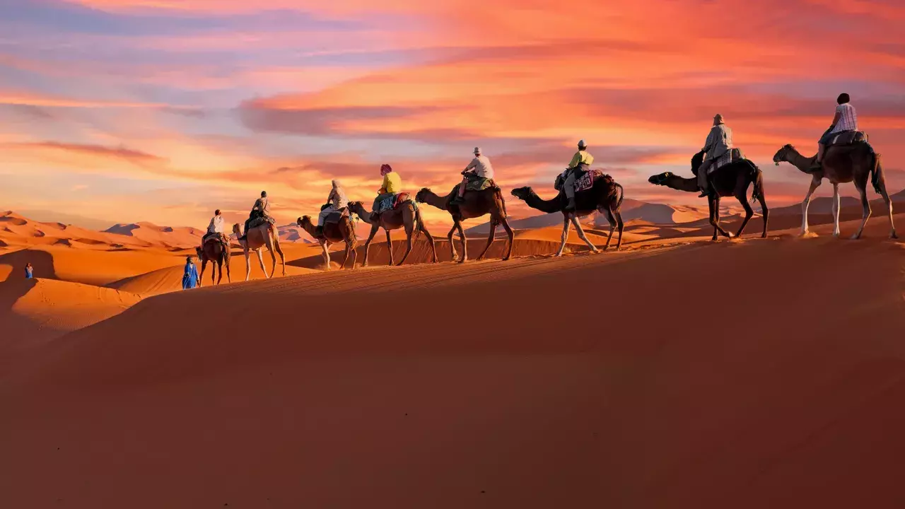 Camel riding at sunset in the Agafay Desert, Morocco