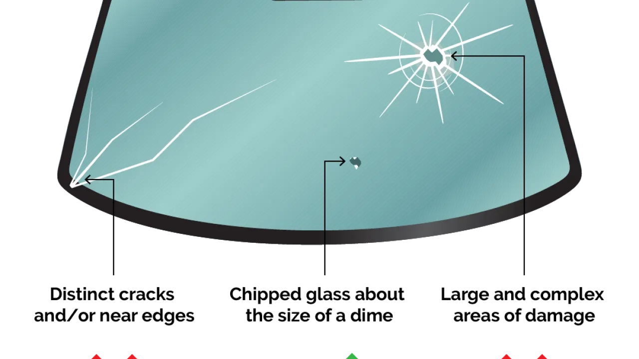 infographic of types of damage on windshields