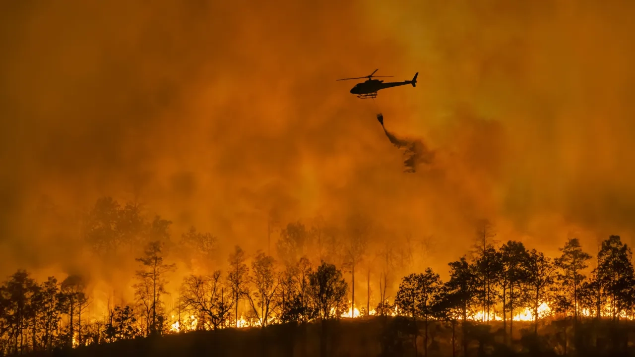 helicopter fighting forest wildfire