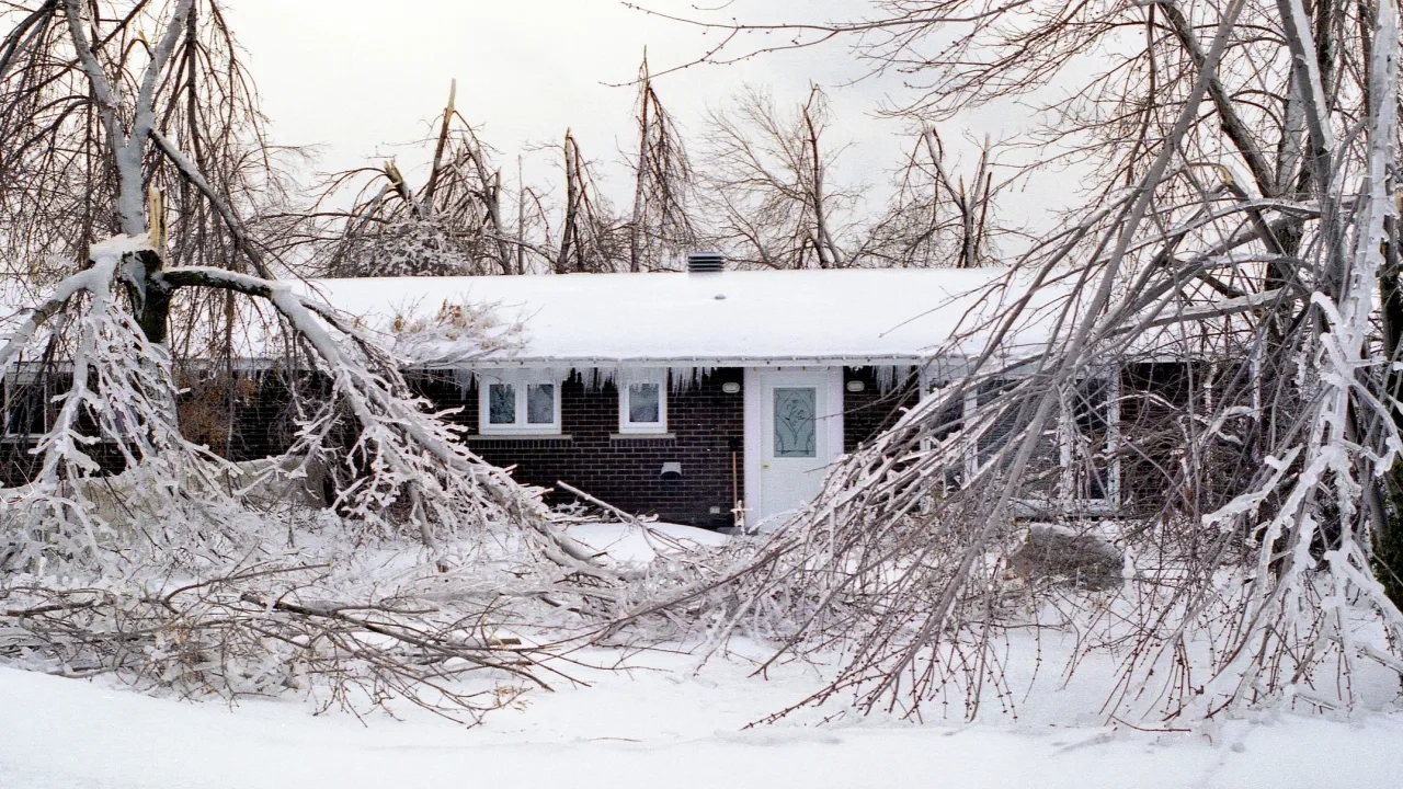 1998 Ice Storm