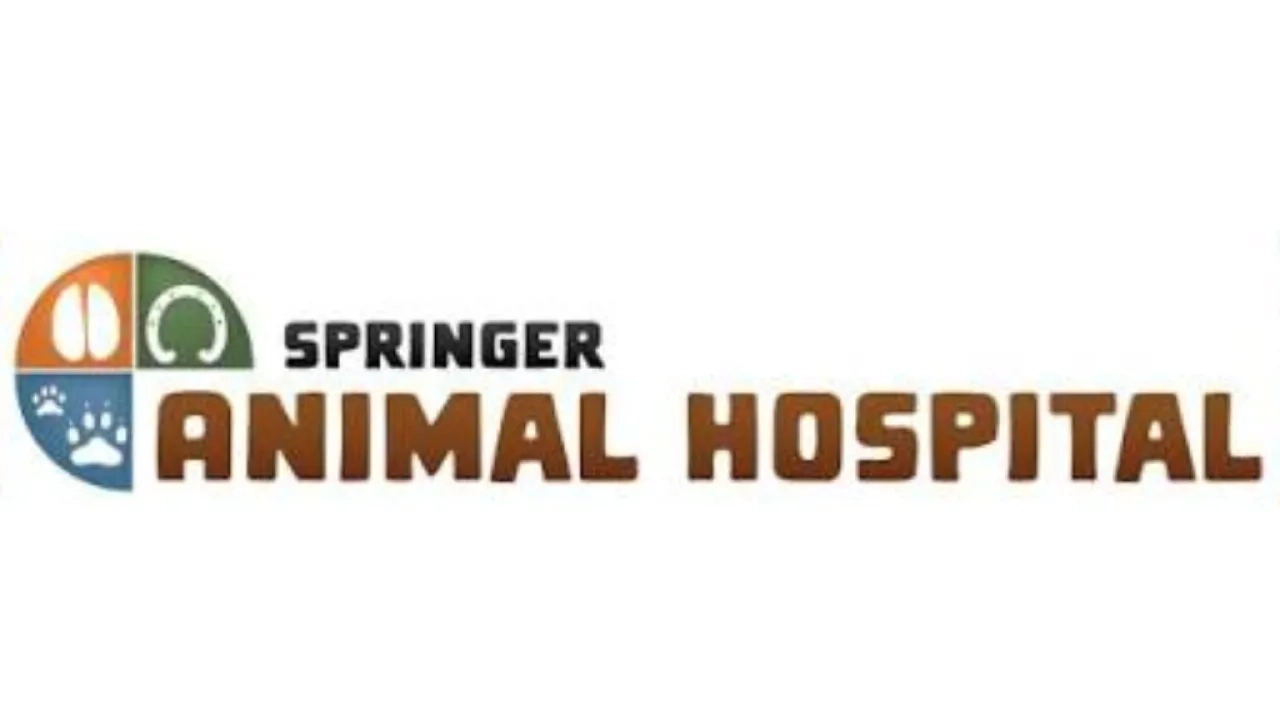 Spring Animal Hospital