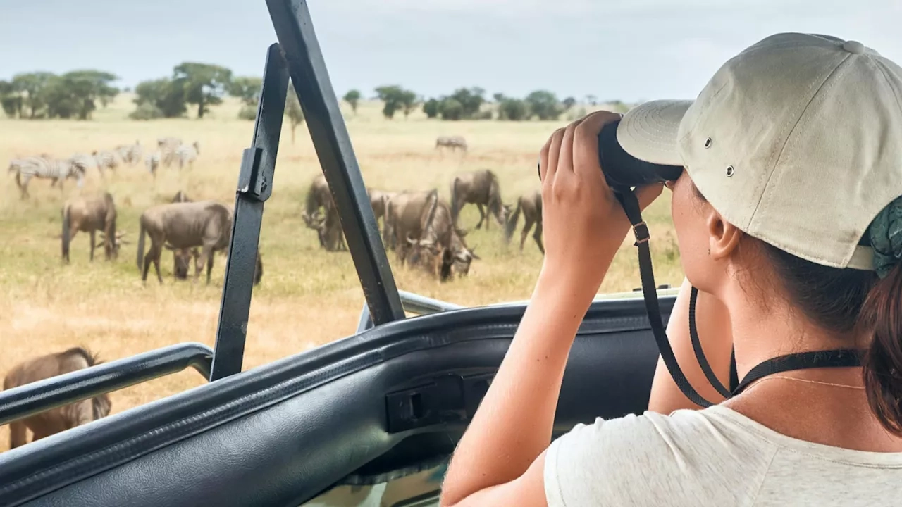 Woman on an African safari