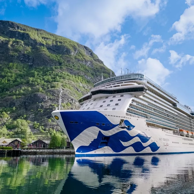 Princess Cruise Ship Near the Coast of Norway