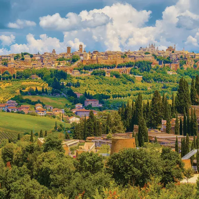 A stunning panoramic view of a historic town perched atop a hill, surrounded by rolling vineyards and lush greenery.