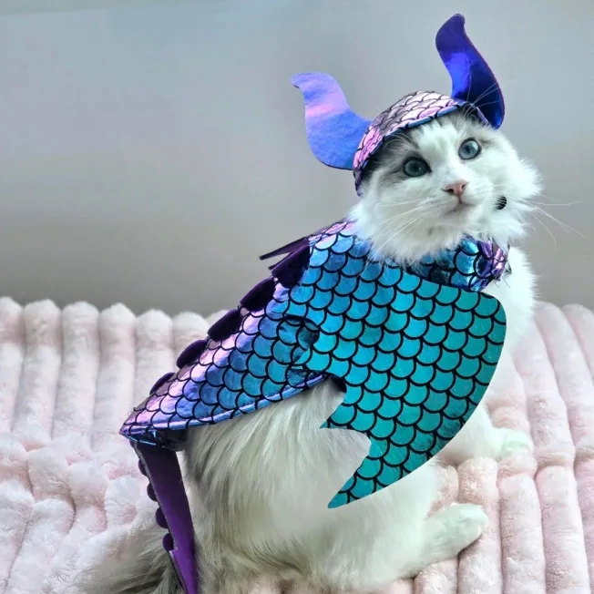 Cat posing in a dragon Halloween costume