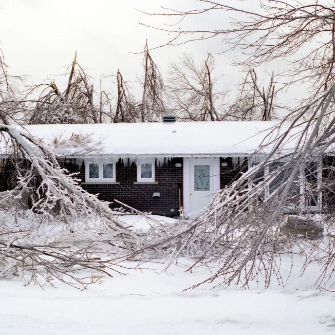 1998 Ice Storm