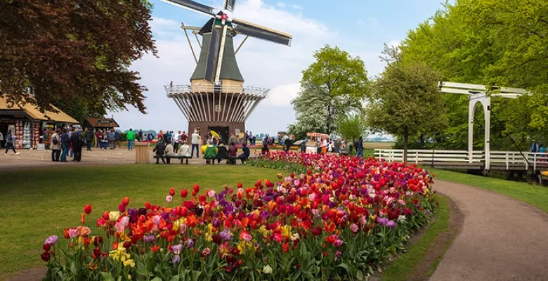 Kinderdijk Windmills, AmaWaterways