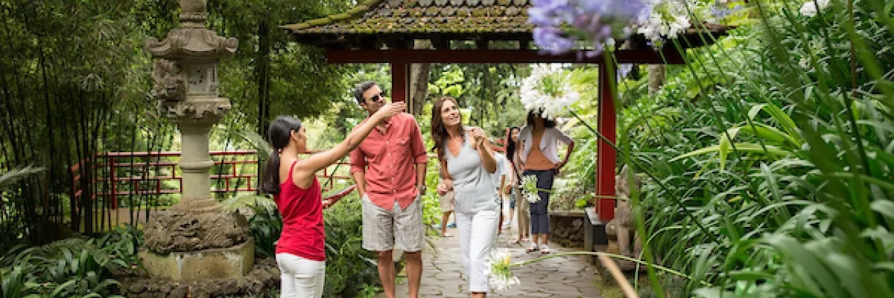 A serene garden tour where visitors learn about the flora, surrounded by lush greenery and a peaceful atmosphere.