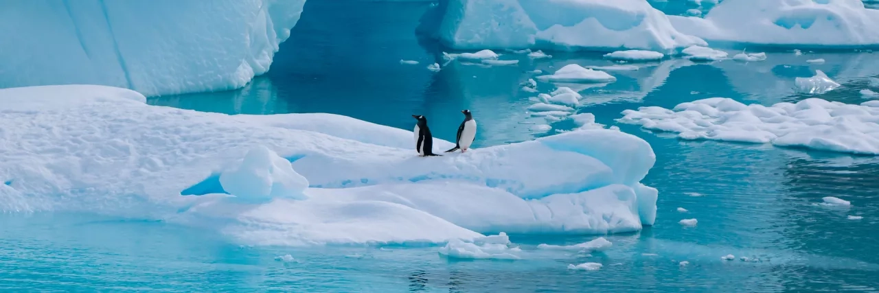 Two penguins sitting on an iceberg in Neko Harbour, Antarctica. View from a Hurtigruten cruise ship.