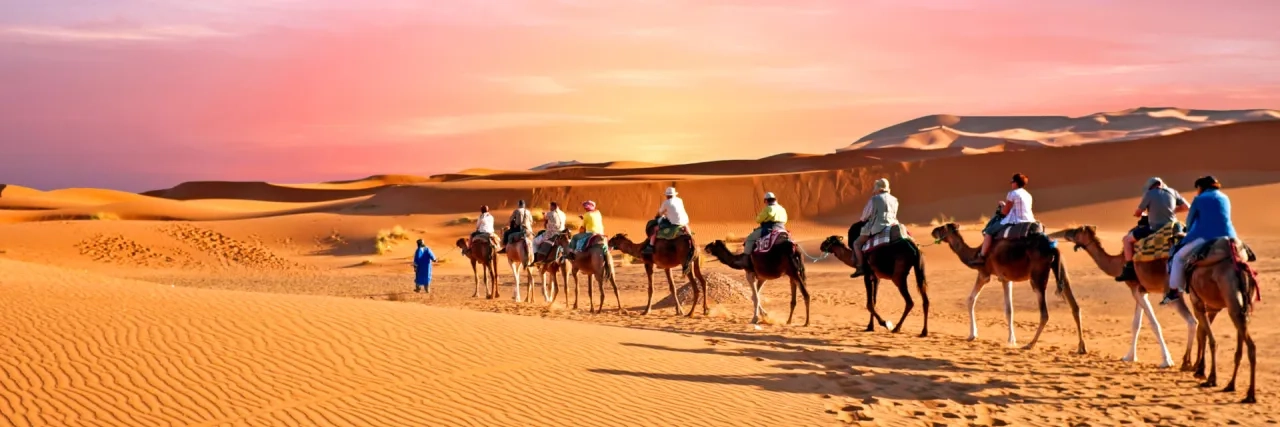 Camel caravan going through the sand dunes in the Sahara Desert, Morocco at sunset