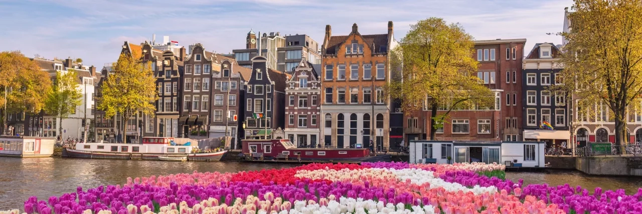 Amsterdam Netherlands, city skyline at canal waterfront with spring tulip