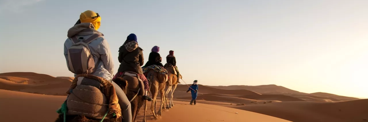 A line of camels through the Agafay Desert, Morocco