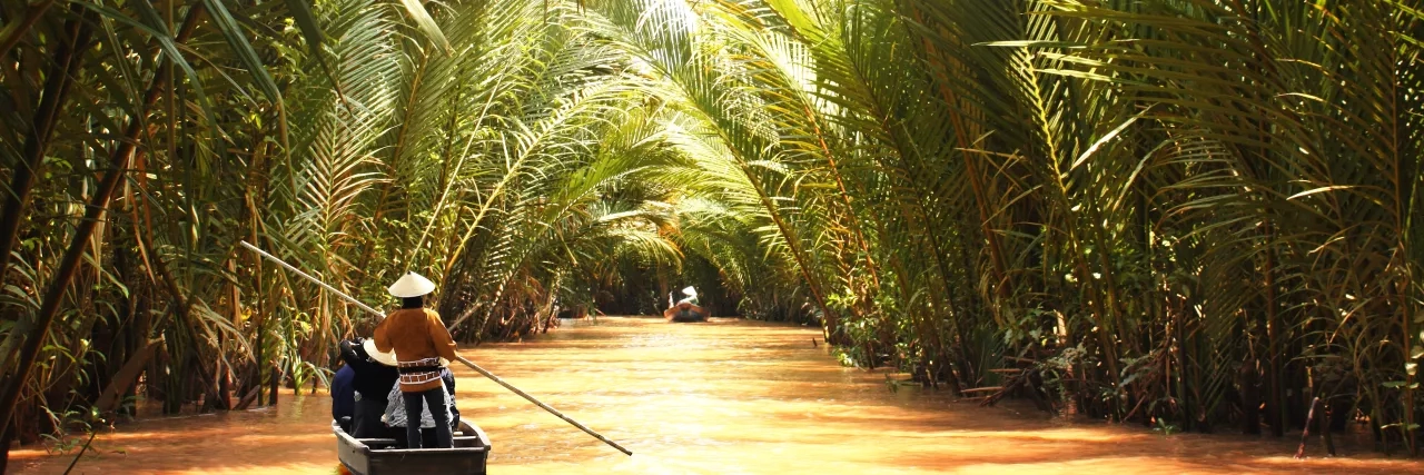 Coasting under the trees along the Mekong River in Vietnam. 