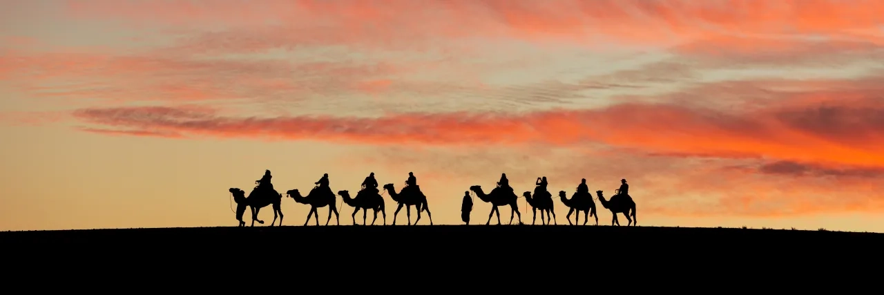 Sunset camel ride through the Agafay Desert, Morocco