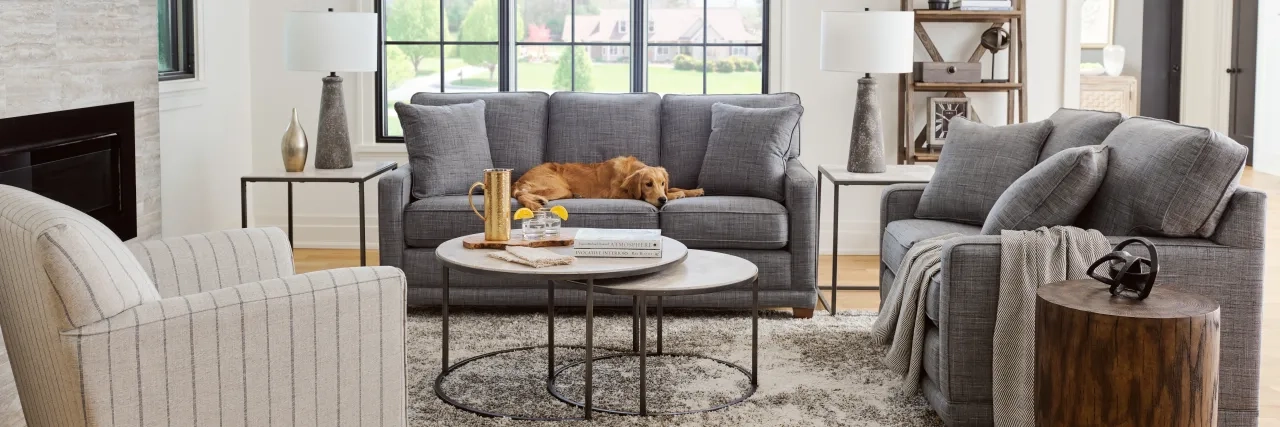 Dog on La-Z-Boy recliner couch