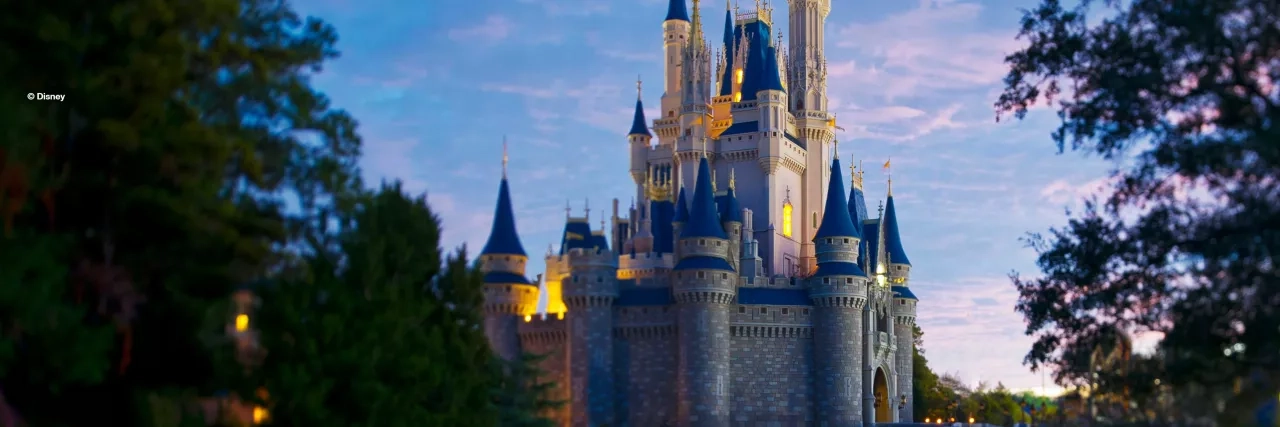 Walt Disney World Resort's Magic Kingdom Castle 