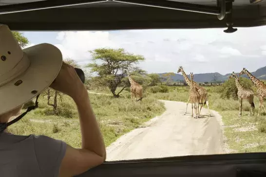 Woman riding in jeep on Africa Safari