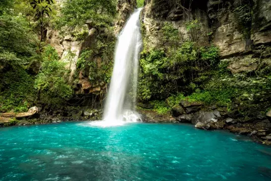 Flowing waterfall in Jamaica