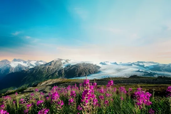 Kenai Fjords in Alaska