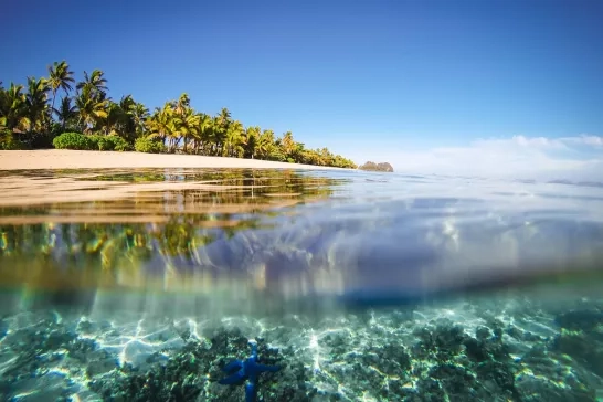 Tropical island and water