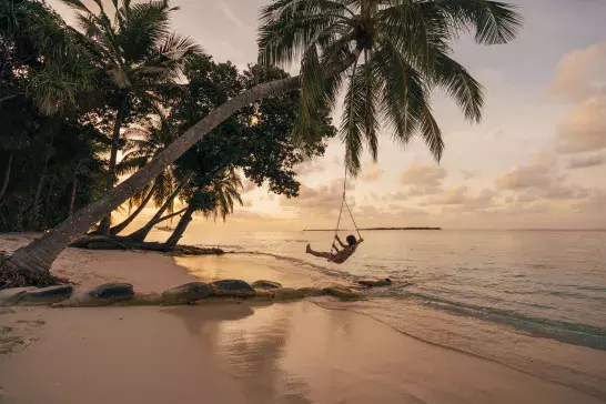 Young adult woman relaxing on a swing in a tropical paradise