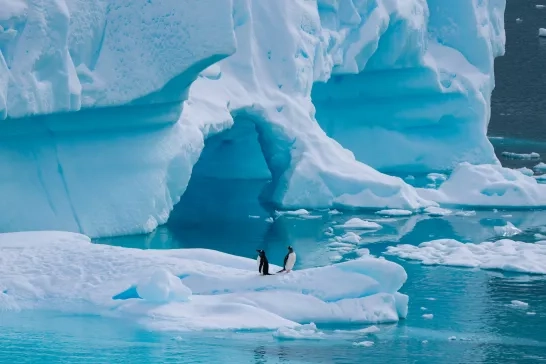 Two penguins sitting on an iceberg in Neko Harbour, Antarctica. View from a Hurtigruten cruise ship.
