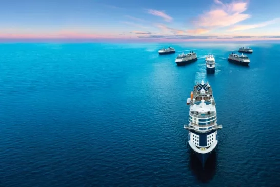 Fleet of six Celebrity Cruise ships in the sea.