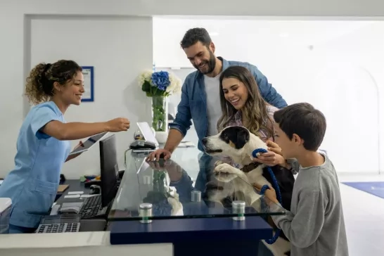 Happy family taking their dog to the vet stock photo