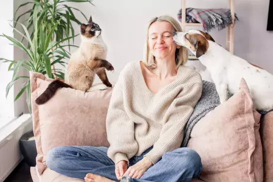 Middle aged woman enjoys spending time at home with her pets. Dog licks owner's cheek with his tongue, cat sitting on couch