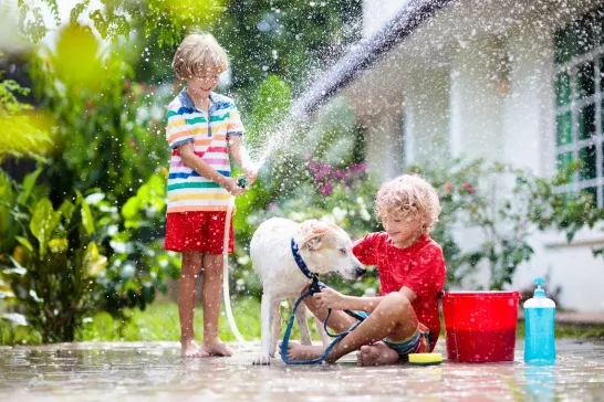 Kids washing dog in backyard