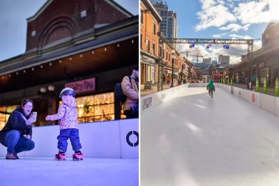 synthetic skating rink