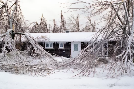 Fallen branches next to house due to a winter storm