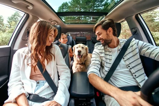 The whole family is driving for the weekend. 