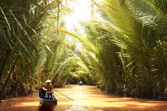 Coasting under the trees along the Mekong River in Vietnam. 