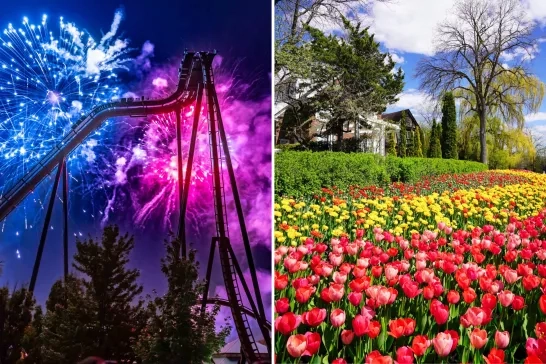 split image of fireworks and tulips