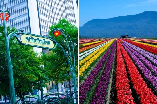 Places that'll make you forget you haven't left the country 