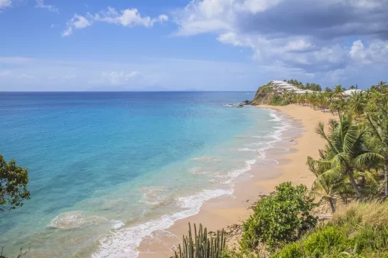 beach in Antigua