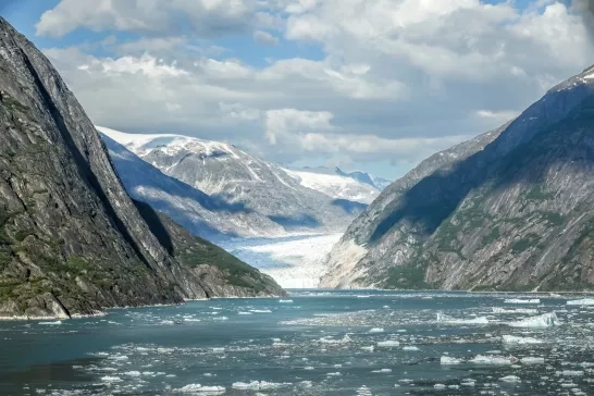  Endicott Glacier
