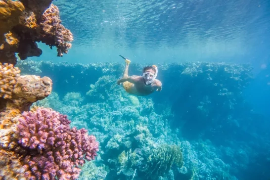 Swimming in Maldives