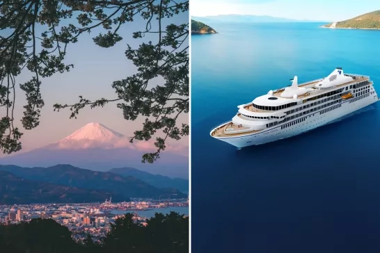 Mount Fuji and cruise