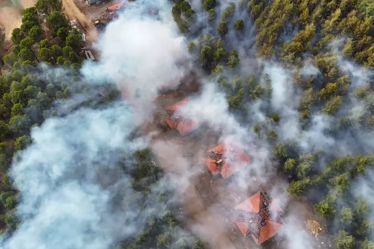 Forest fire near houses