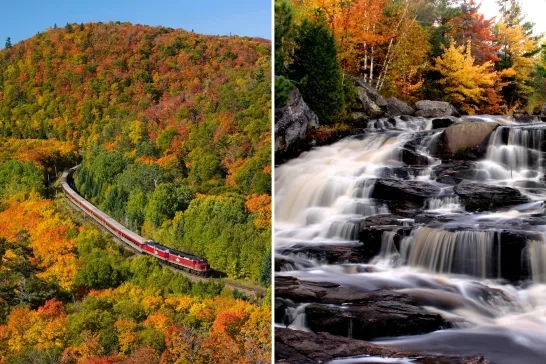 fall train and waterfall