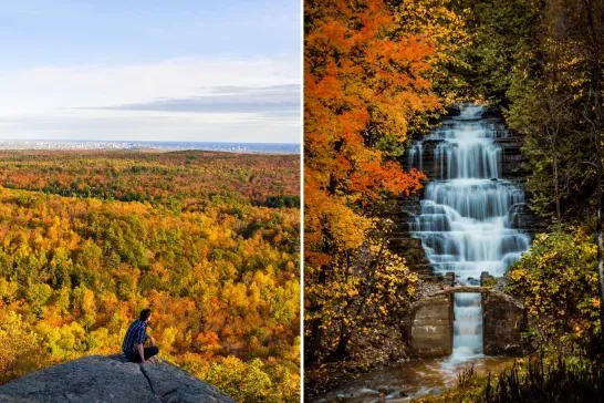Ottawa fall hiking trails