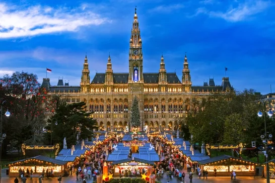 Vienna Christmas market