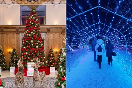 Christmas tree and trail of Christmas lights