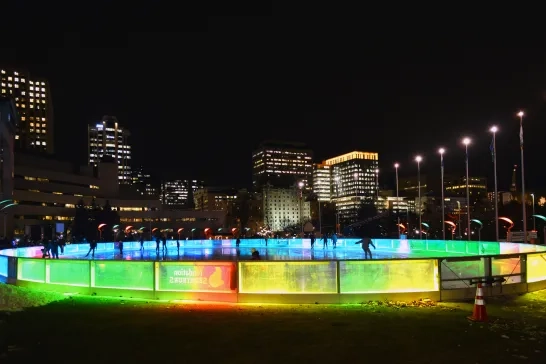 Rink of Dreams in Ottawa