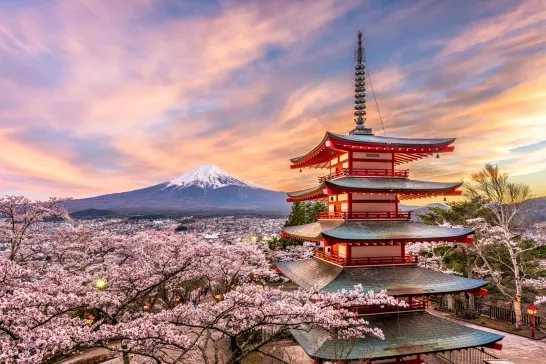 Mount Fuji, Japan at sunset in the spring