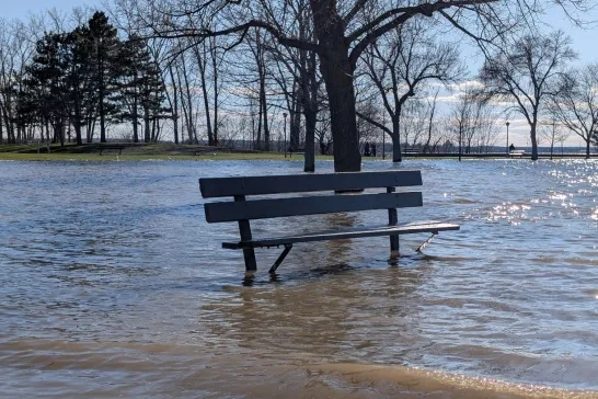 bench on flooded park in Ottawa